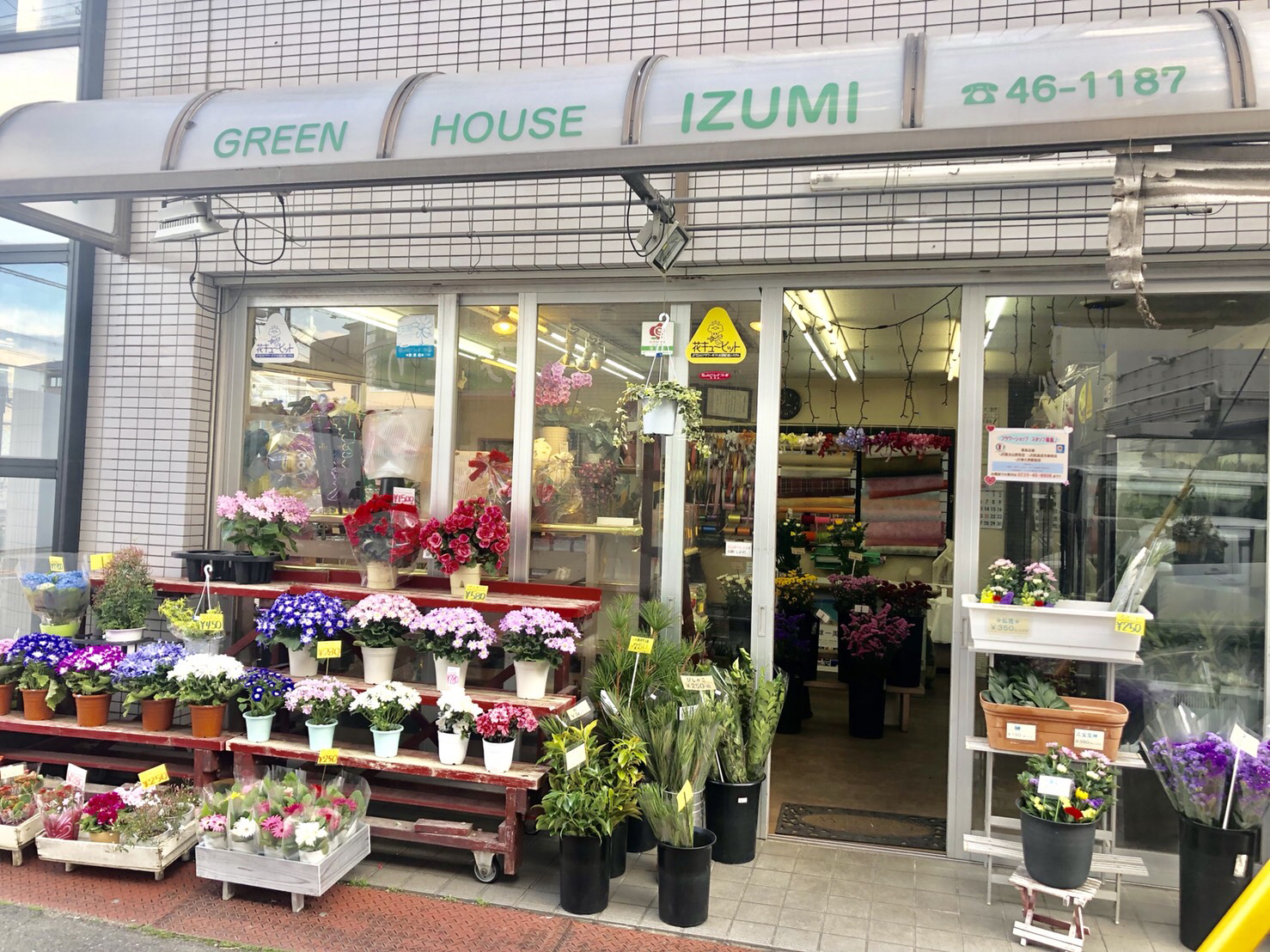 和泉市や堺市で花屋を営んでいる当社の支店紹介 和泉市や堺市の花屋なら配達可能な 有限会社グリーンハウスいずみ